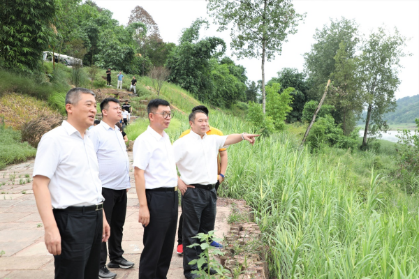 山茶花红重庆行丨纵览精彩盛会 悦览活力两江